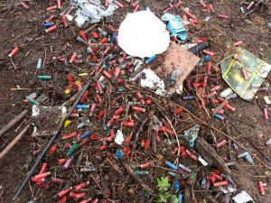 18002_10151315226125957_2022589555_n