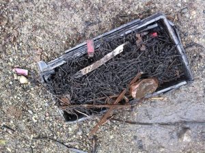 388700_10152738701165445_1504056163_n