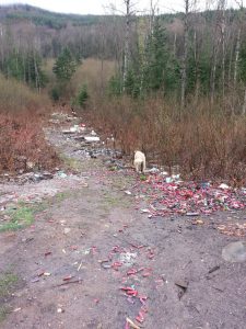 482801_10151315225700957_118164619_n