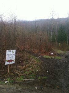 539661_10152738667295445_590735086_n