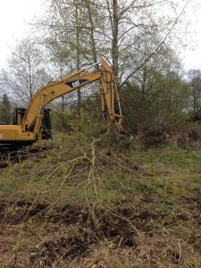 10154331_625212017561994_8281422911895644119_n