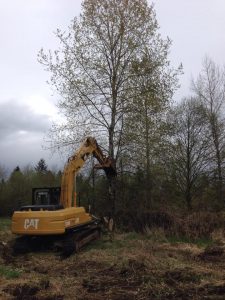 10262143_625212117561984_1607825046131534878_n