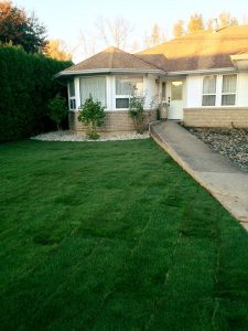 11251273_900810223335504_6860271331751127160_n