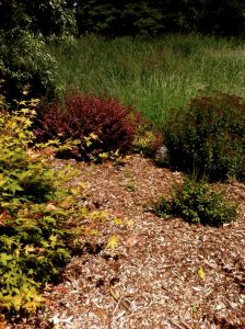 12036697_880411828708677_3270946448770341276_n