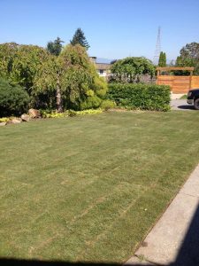 1235921_515772598505937_1725767546_n