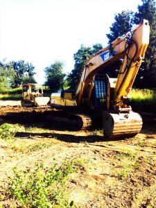 11826048_859629307453596_2598773422509705897_n